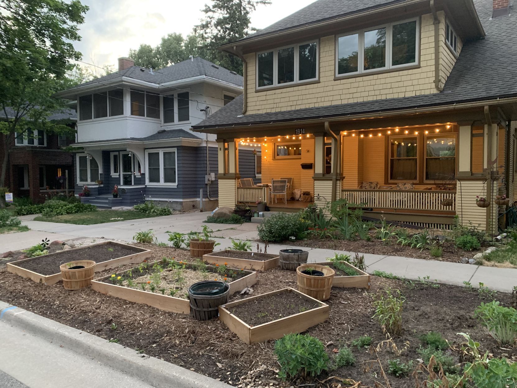 Sara Redford's garden "after"
